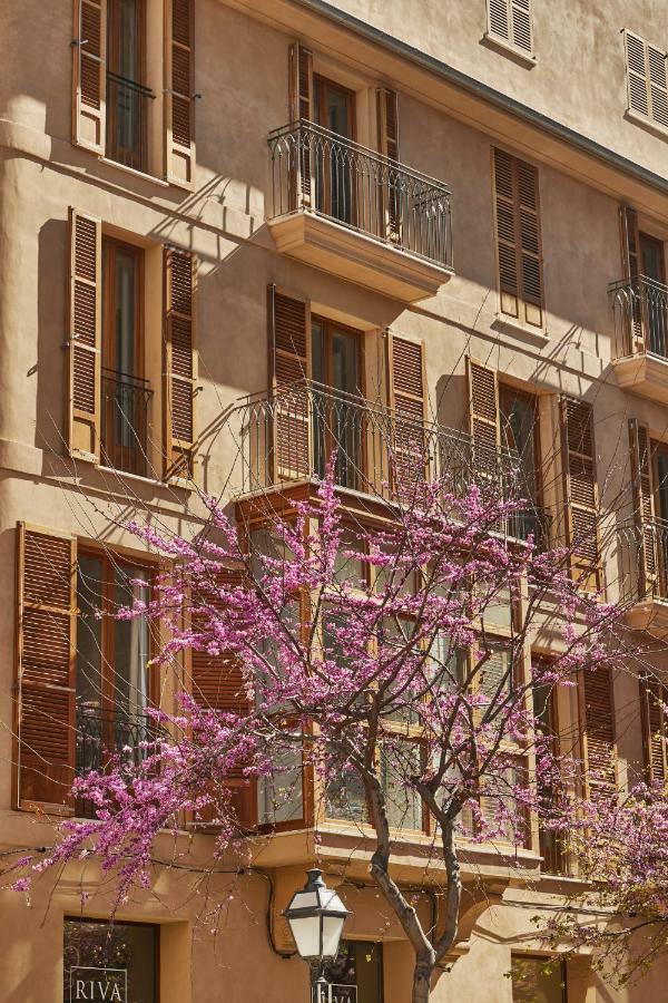 Vila Damunt Πάλμα ντε Μαγιόρκα Εξωτερικό φωτογραφία